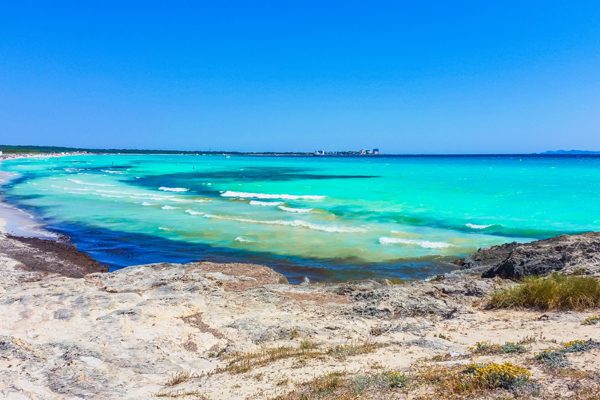 tour discovery mallorca palma tour discovery mallorca palma