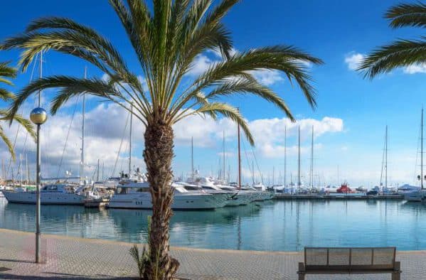 hafen port de mallorca